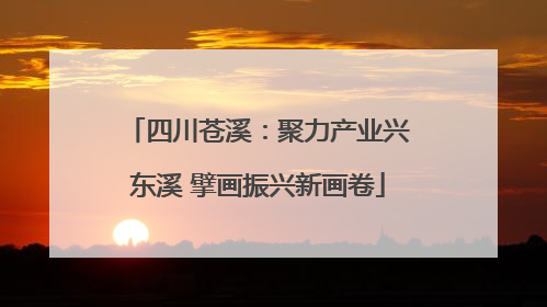 四川苍溪：聚力产业兴东溪 擘画振兴新画卷
