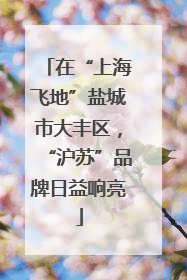 在“上海飞地”盐城市大丰区，“沪苏”品牌日益响亮