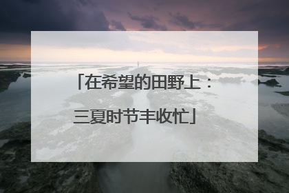 在希望的田野上：三夏时节丰收忙