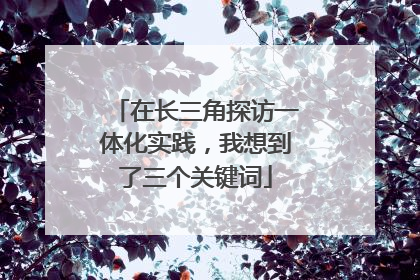 在长三角探访一体化实践，我想到了三个关键词