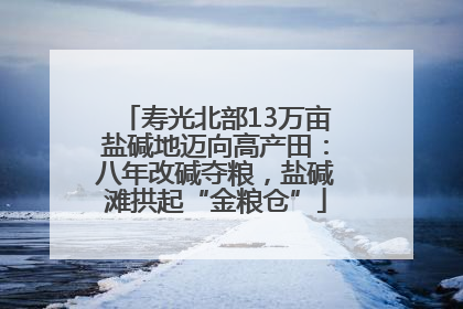 寿光北部13万亩盐碱地迈向高产田：八年改碱夺粮，盐碱滩拱起“金粮仓”