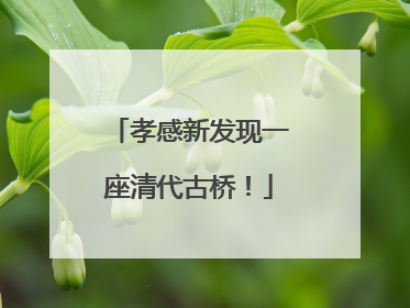 孝感新发现一座清代古桥！