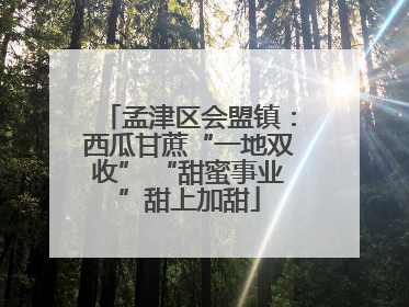 孟津区会盟镇：西瓜甘蔗“一地双收” “甜蜜事业”甜上加甜