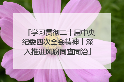 学习贯彻二十届中央纪委四次全会精神丨深入推进风腐同查同治