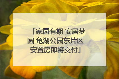 家园有期 安居梦圆 龟湖公园东片区安置房即将交付