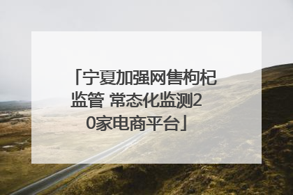 宁夏加强网售枸杞监管 常态化监测20家电商平台