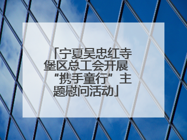 宁夏吴忠红寺堡区总工会开展“携手童行”主题慰问活动