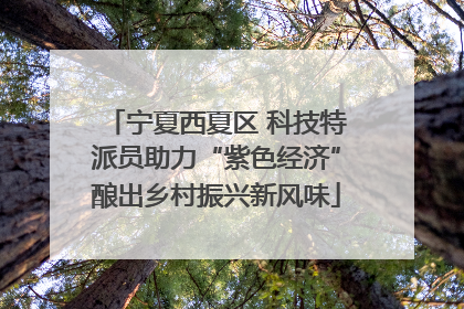 宁夏西夏区 科技特派员助力“紫色经济”酿出乡村振兴新风味