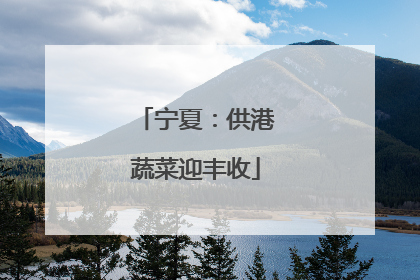 宁夏：供港蔬菜迎丰收