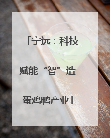 宁远：科技赋能“智”造蛋鸡鸭产业