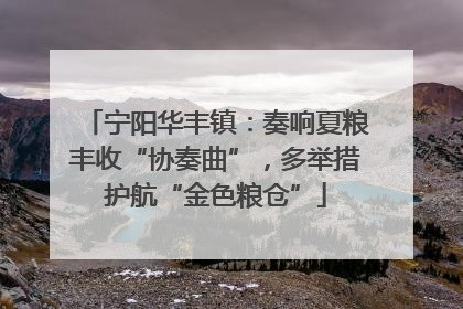 宁阳华丰镇：奏响夏粮丰收“协奏曲”，多举措护航“金色粮仓”