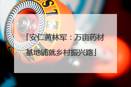 安仁黄林军：万亩药材基地铺就乡村振兴路