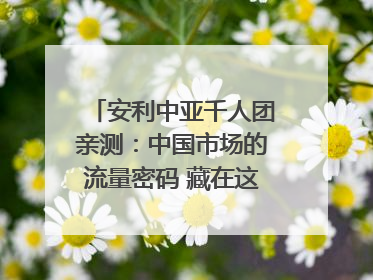 安利中亚千人团亲测：中国市场的流量密码 藏在这些细节里