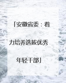 安徽省委：着力培养选拔优秀年轻干部