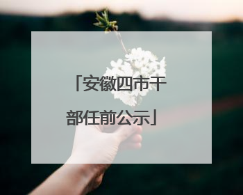 安徽四市干部任前公示