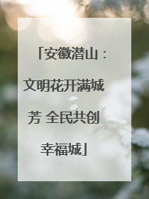 安徽潜山：文明花开满城芳 全民共创幸福城