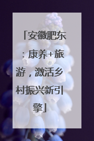 安徽肥东：康养+旅游，激活乡村振兴新引擎