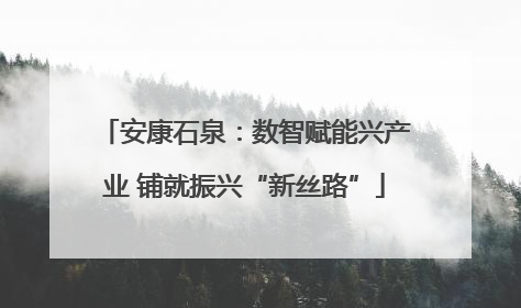 安康石泉：数智赋能兴产业 铺就振兴“新丝路”