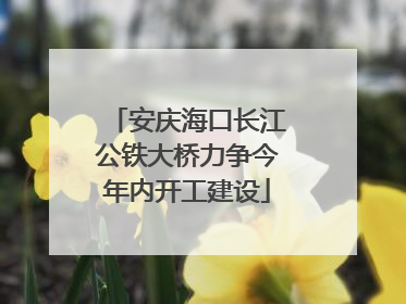 安庆海口长江公铁大桥力争今年内开工建设