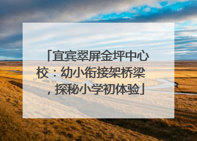 宜宾翠屏金坪中心校：幼小衔接架桥梁，探秘小学初体验