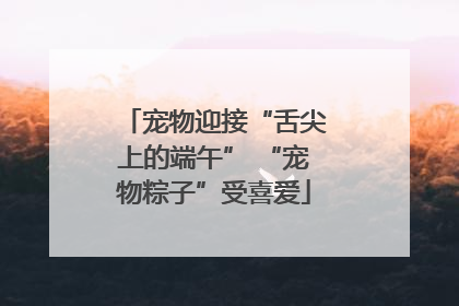 宠物迎接“舌尖上的端午” “宠物粽子”受喜爱