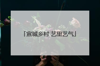 宣城乡村 艺里艺气