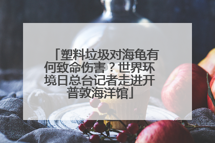 塑料垃圾对海龟有何致命伤害？世界环境日总台记者走进开普敦海洋馆