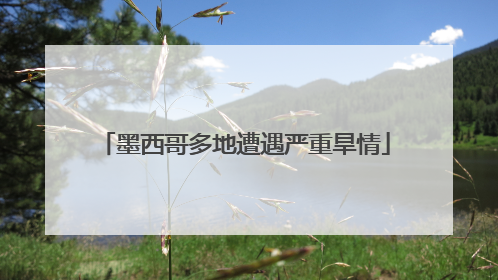 墨西哥多地遭遇严重旱情