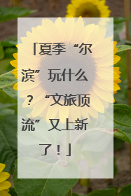 夏季“尔滨”玩什么？“文旅顶流”又上新了！