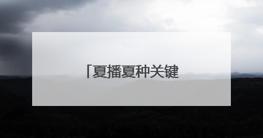 夏播夏种关键期，范县释放强劲“水动力”