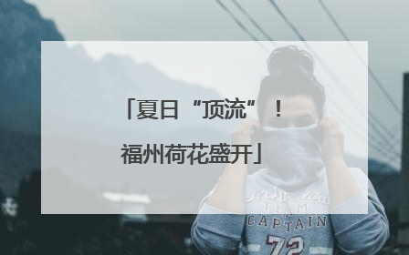 夏日“顶流”！福州荷花盛开
