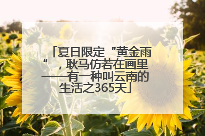 夏日限定“黄金雨”，耿马仿若在画里——有一种叫云南的生活之365天