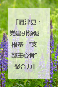 夏津县：党建引领强根基 “支部主心骨”聚合力