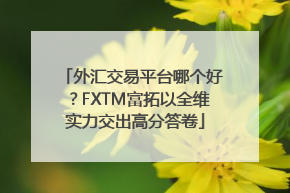 外汇交易平台哪个好？FXTM富拓以全维实力交出高分答卷