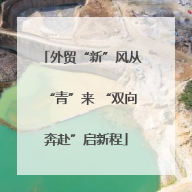 外贸“新”风从“青”来 “双向奔赴”启新程