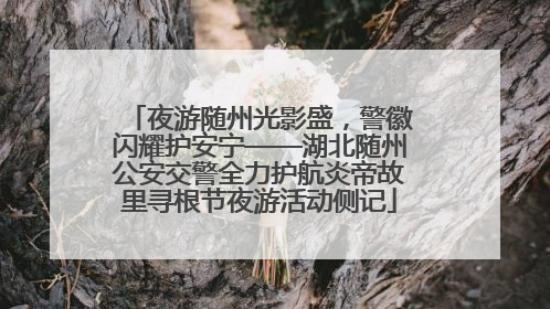 夜游随州光影盛，警徽闪耀护安宁——湖北随州公安交警全力护航炎帝故里寻根节夜游活动侧记