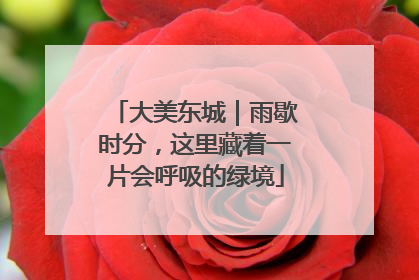 大美东城｜雨歇时分，这里藏着一片会呼吸的绿境