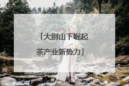 大别山下崛起茶产业新势力
