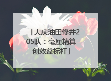 大庆油田修井205队：毫厘精算创效益标杆