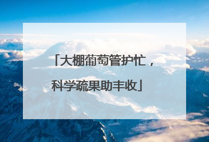大棚葡萄管护忙，科学疏果助丰收
