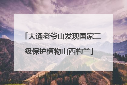 大通老爷山发现国家二级保护植物山西杓兰