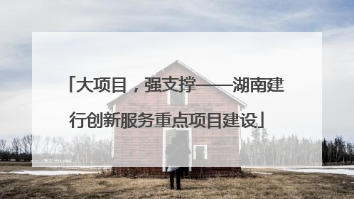 大项目，强支撑——湖南建行创新服务重点项目建设