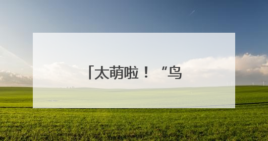 太萌啦！“鸟中大熊猫”幼崽在黄陂破壳