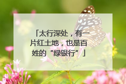 太行深处，有一片红土地，也是百姓的“绿银行”