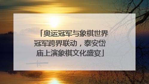 奥运冠军与象棋世界冠军跨界联动，泰安岱庙上演象棋文化盛宴