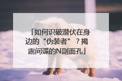 如何识破潜伏在身边的“伪装者”？揭露间谍的N副面孔