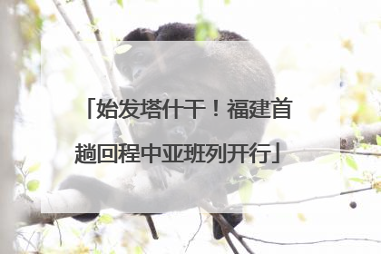 始发塔什干！福建首趟回程中亚班列开行