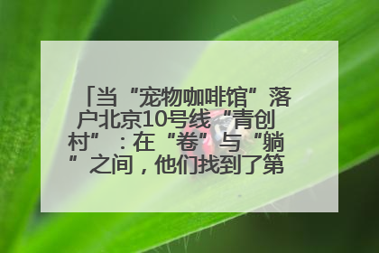 当“宠物咖啡馆”落户北京10号线“青创村”：在“卷”与“躺”之间，他们找到了第三种生活公式