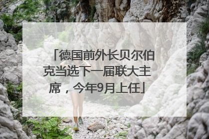 德国前外长贝尔伯克当选下一届联大主席，今年9月上任