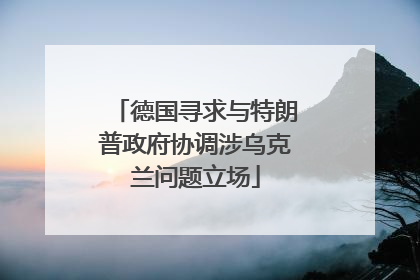 德国寻求与特朗普政府协调涉乌克兰问题立场